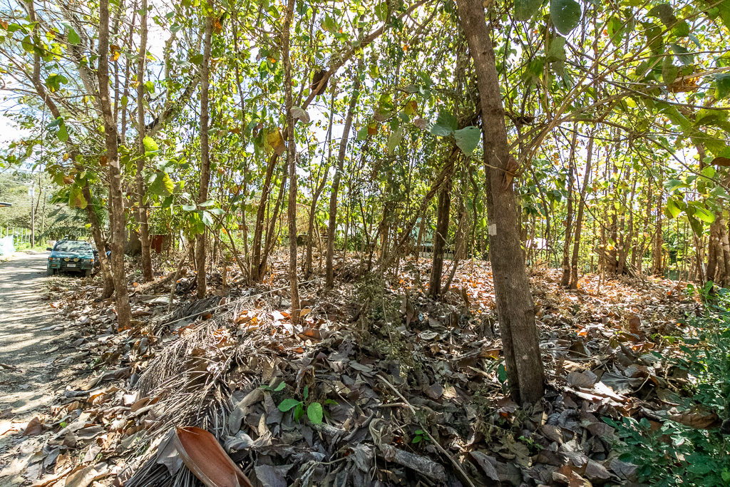 0 bed Land For Sale in Nosara, Guanacaste - thumb 4