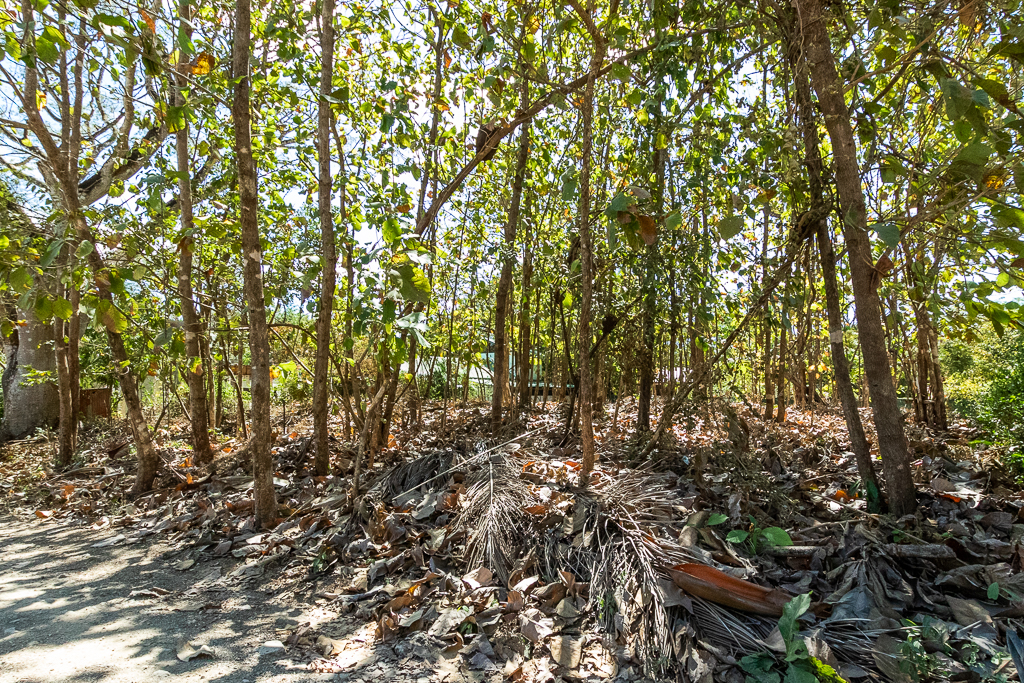 0 bed Land For Sale in Nosara, Guanacaste - thumb 8