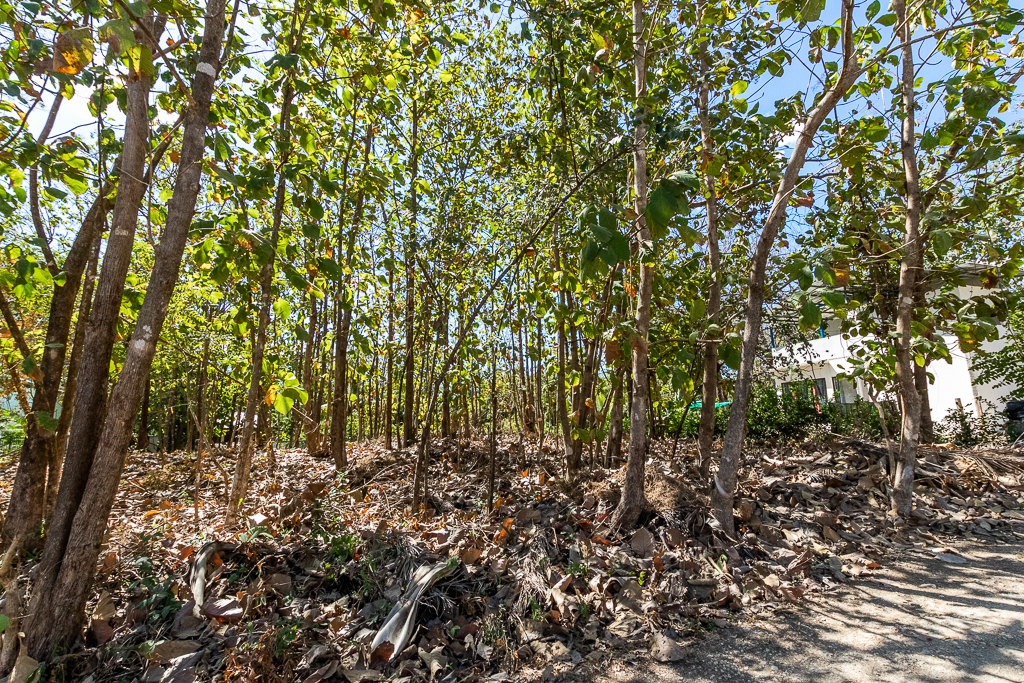 0 bed Land For Sale in Nosara, Guanacaste - thumb 1