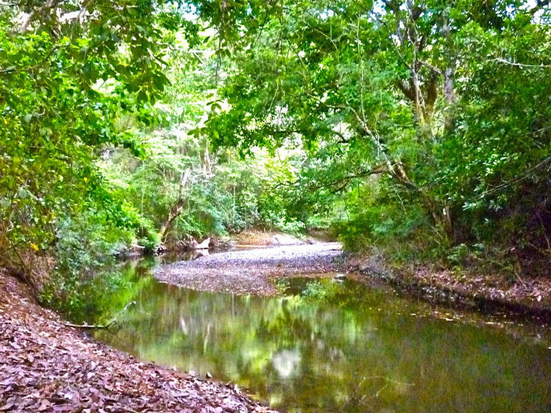 0 bed Land For Sale in Nosara, Guanacaste - 1