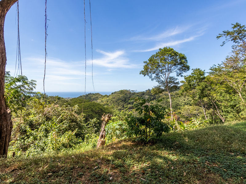 2 bed Single Family Homes For Sale in Nosara, Guanacaste - 1