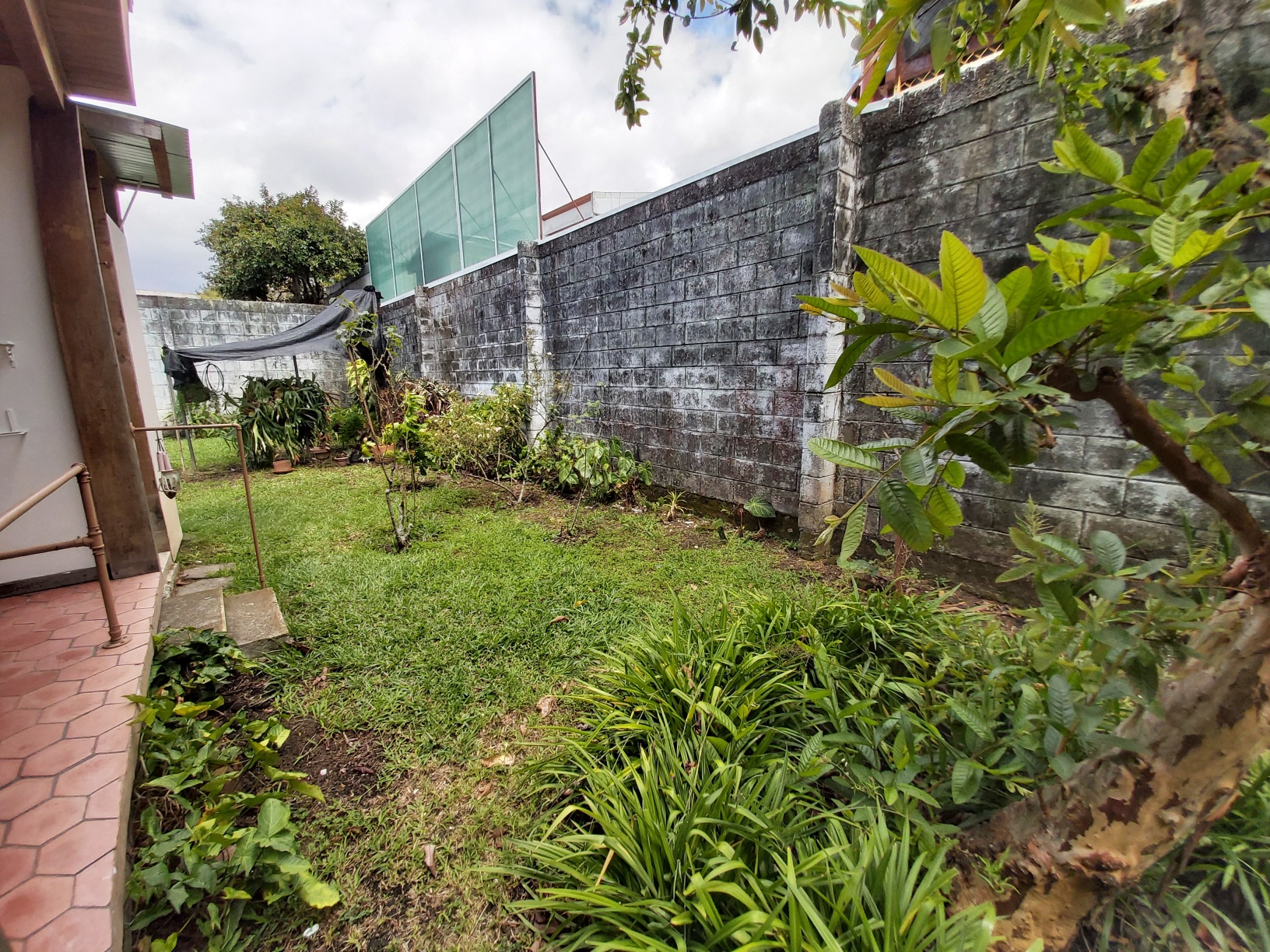 5 bed Single Family Homes For Rent in Zapote, San Jose - thumb 8