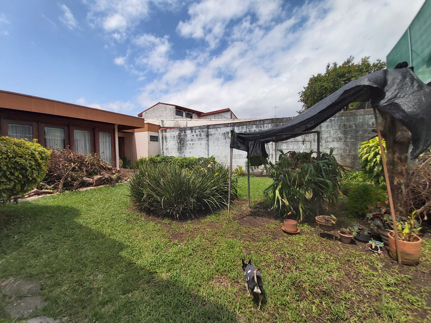 5 bed Single Family Homes For Rent in Zapote, San Jose - thumb 10