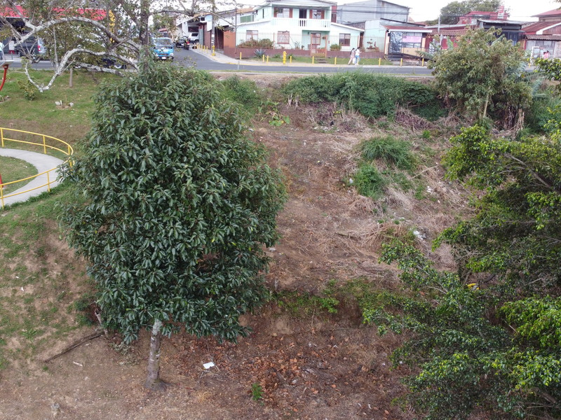 0 bed Land For Sale in Curridabat, San Jose - thumb 7