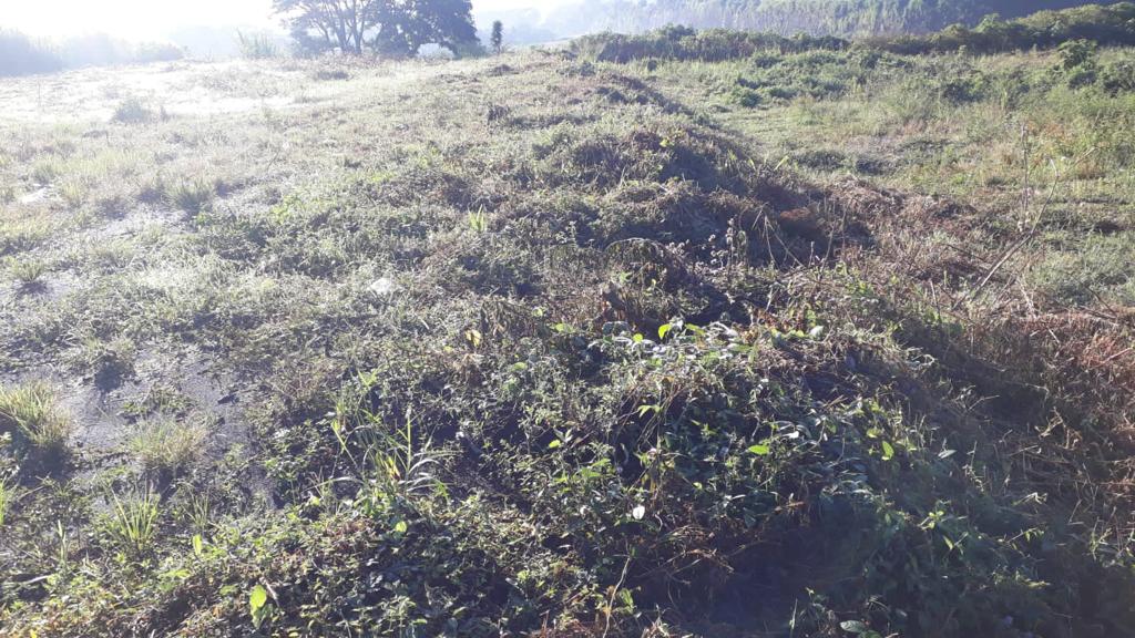 0 bed Land For Sale in Uruca, San Jose - thumb 4