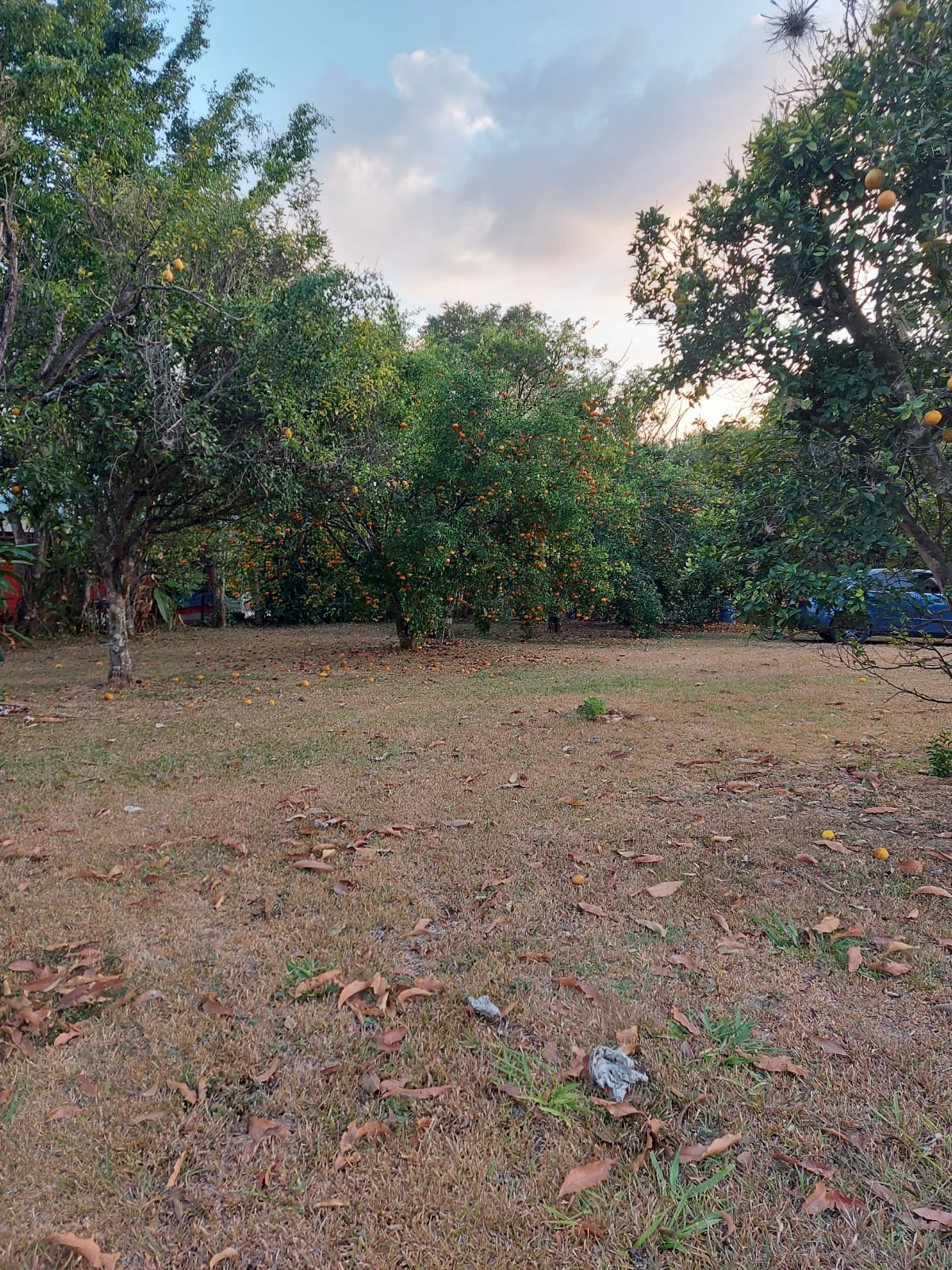 2 bed Land For Sale in Atenas, Alajuela - thumb 2