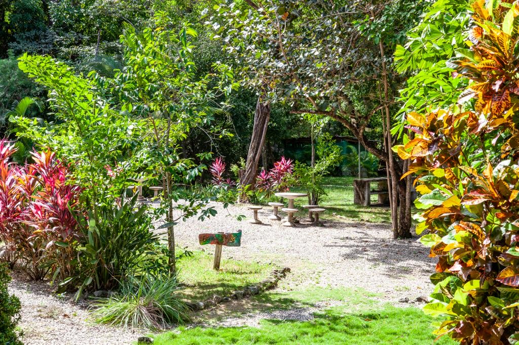 7 bed Hotel / Leisure For Sale in Playa Guiones, Guanacaste - thumb 14