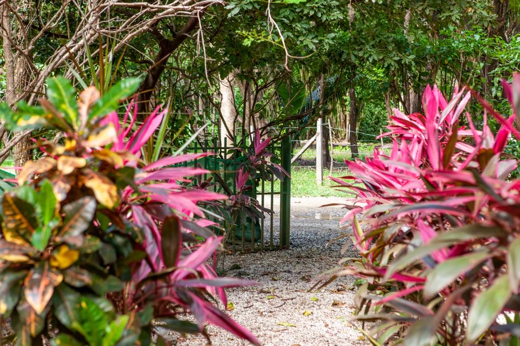 7 bed Hotel / Leisure For Sale in Playa Guiones, Guanacaste - thumb 13