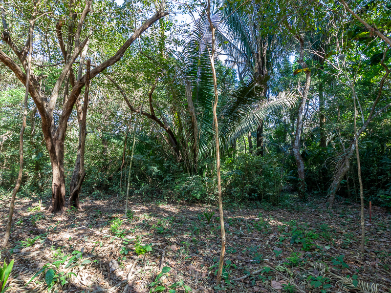 0 bed Land For Sale in Nosara, Guanacaste - 1