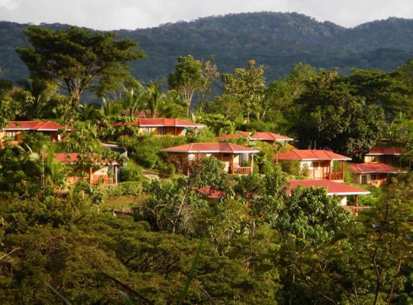 25 bed Hotel / Leisure For Sale in Tarcoles, Puntarenas - thumb 1