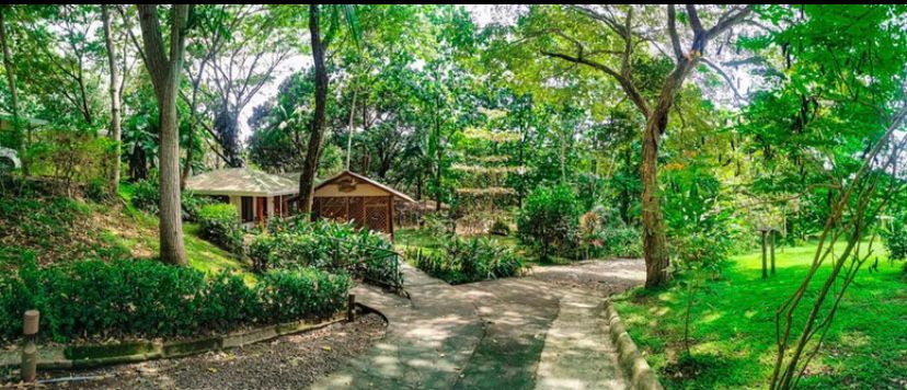 25 bed Hotel / Leisure For Sale in Tarcoles, Puntarenas - thumb 6