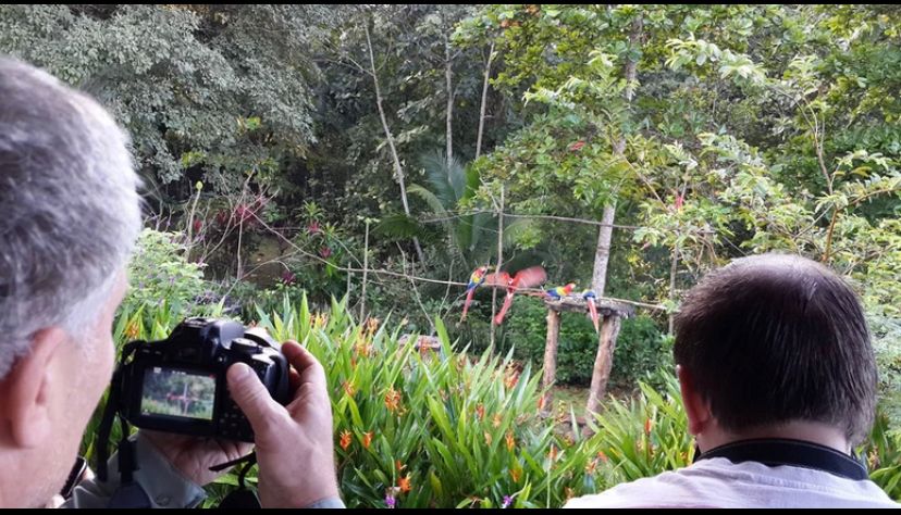 25 bed Hotel / Leisure For Sale in Tarcoles, Puntarenas - thumb 9