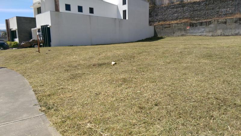 0 bed Land For Sale in Montes de Oca, San Jose - thumb 6