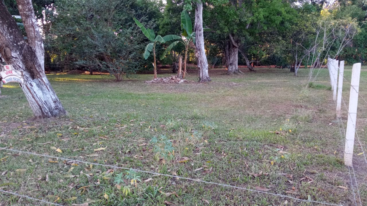 1 bed Land For Sale in Orotina, Alajuela - thumb 2