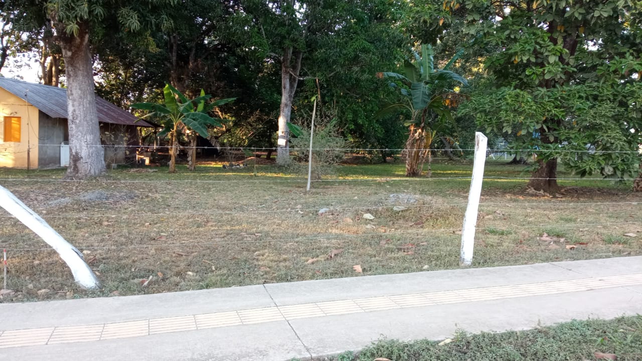 1 bed Land For Sale in Orotina, Alajuela - thumb 1