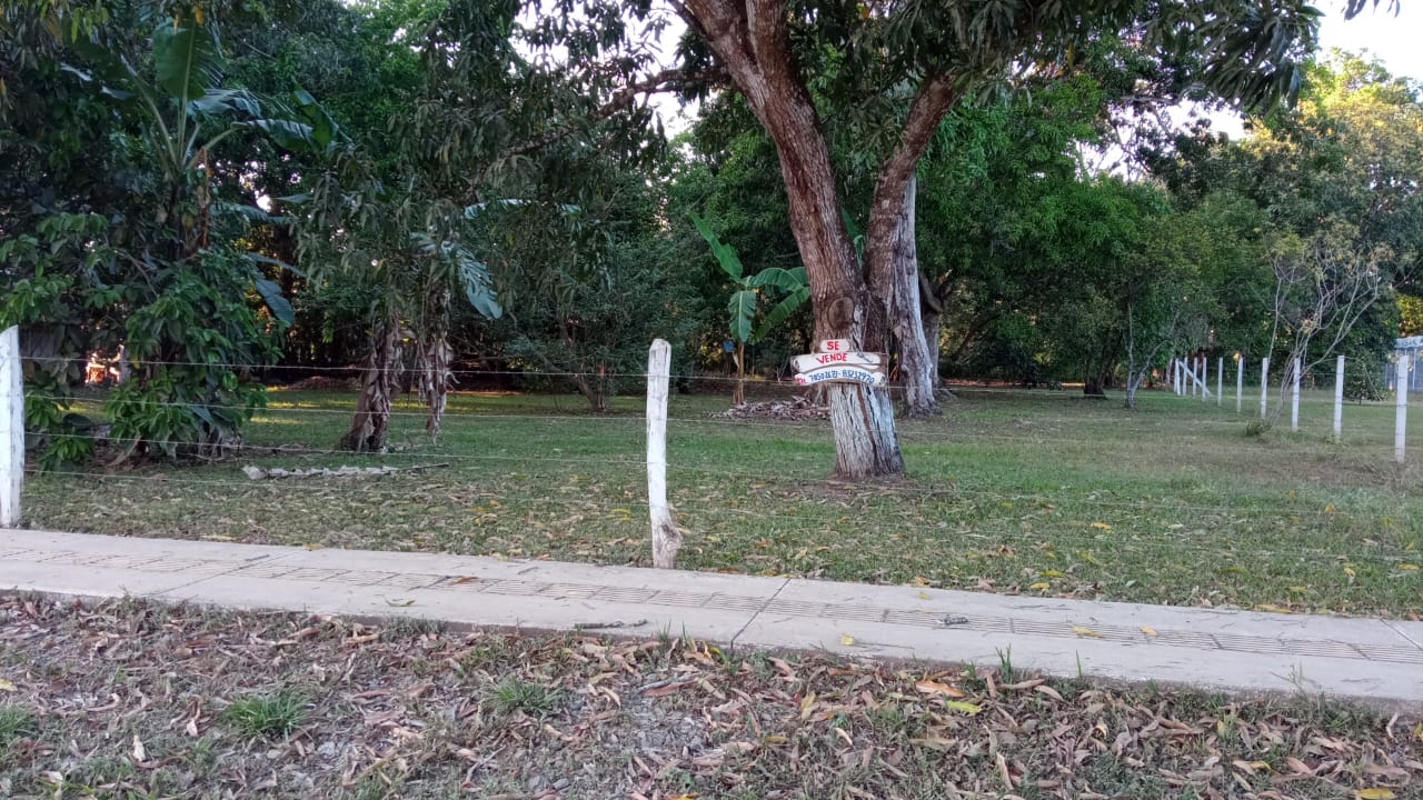 1 bed Land For Sale in Orotina, Alajuela - thumb 4