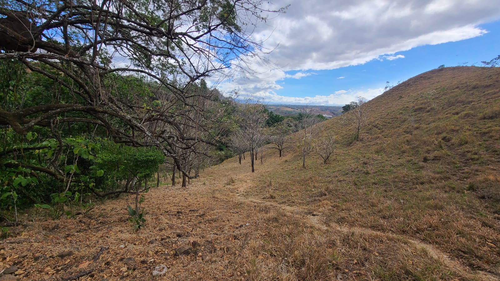 0 bed Land For Sale in Atenas, Alajuela - thumb 6