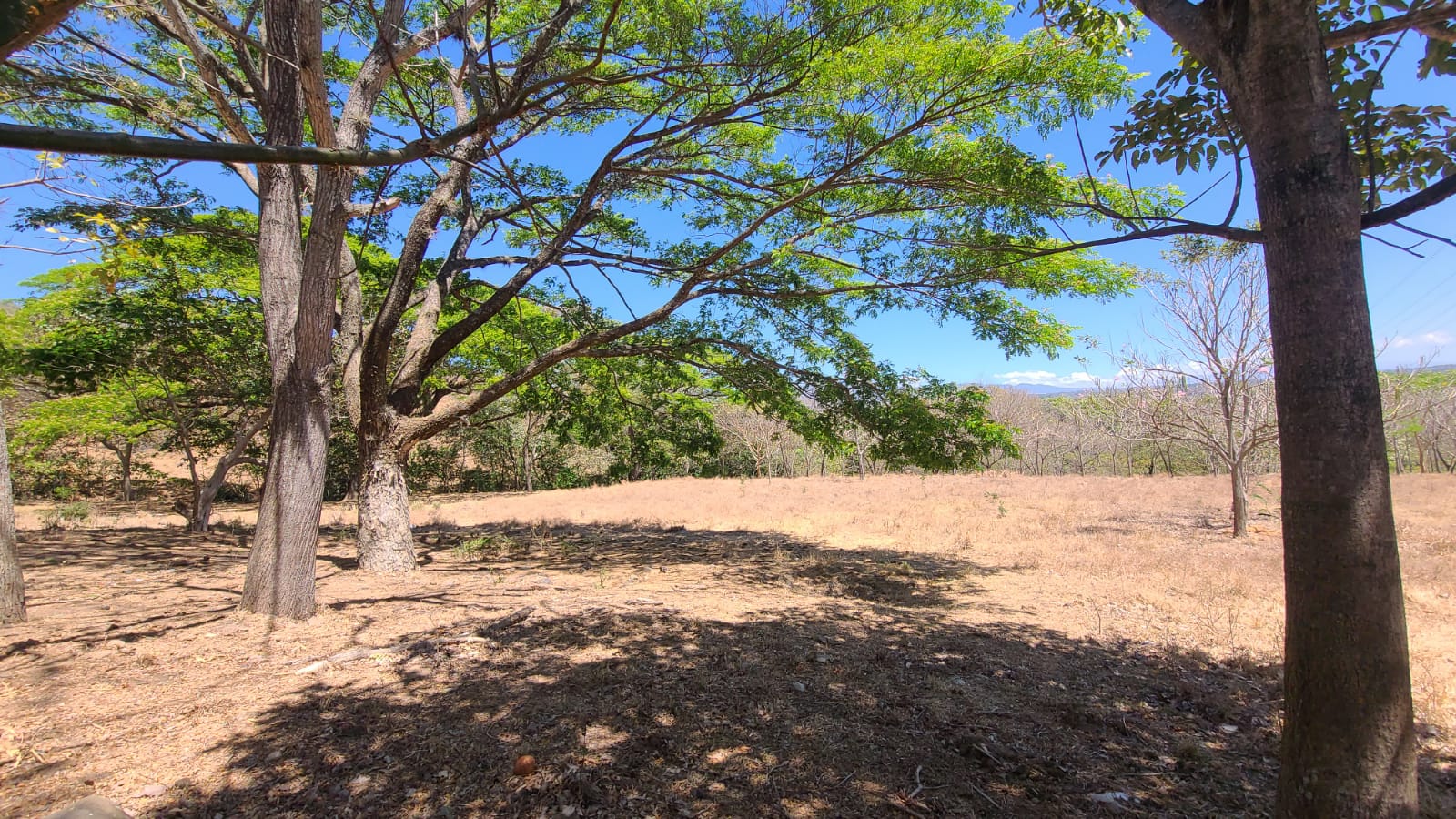 0 bed Land For Sale in Atenas, Alajuela - thumb 9