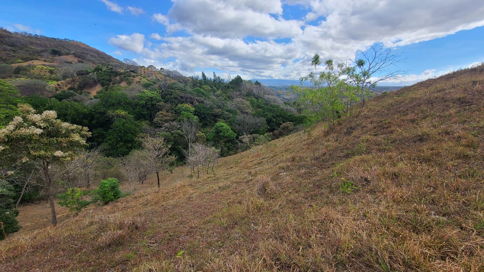 0 bed Land For Sale in Atenas, Alajuela - thumb 5