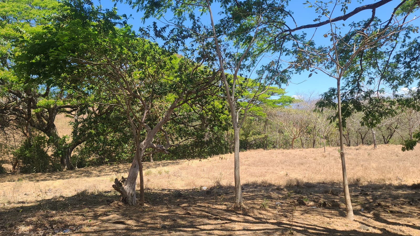 0 bed Land For Sale in Atenas, Alajuela - thumb 11