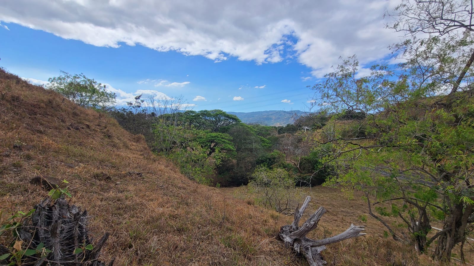 0 bed Land For Sale in Atenas, Alajuela - thumb 4