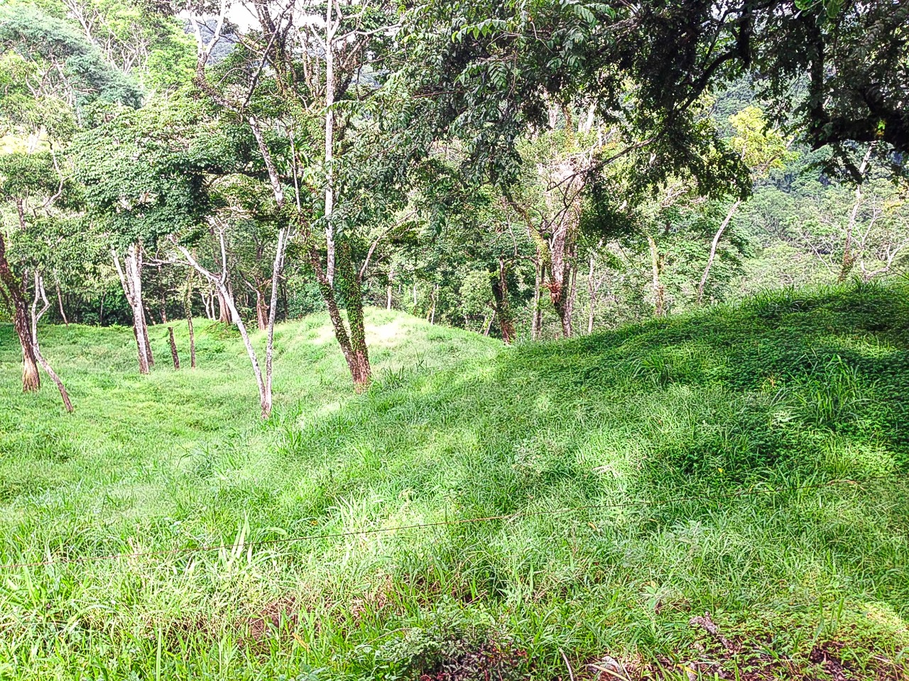 4 bed Land For Sale in Tambor, Puntarenas - thumb 5
