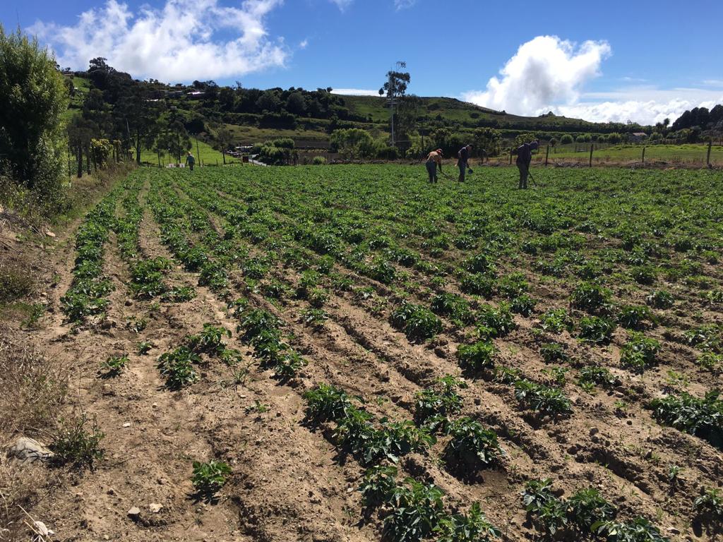 0 bed Land For Sale in Aguacaliente, Cartago - thumb 1