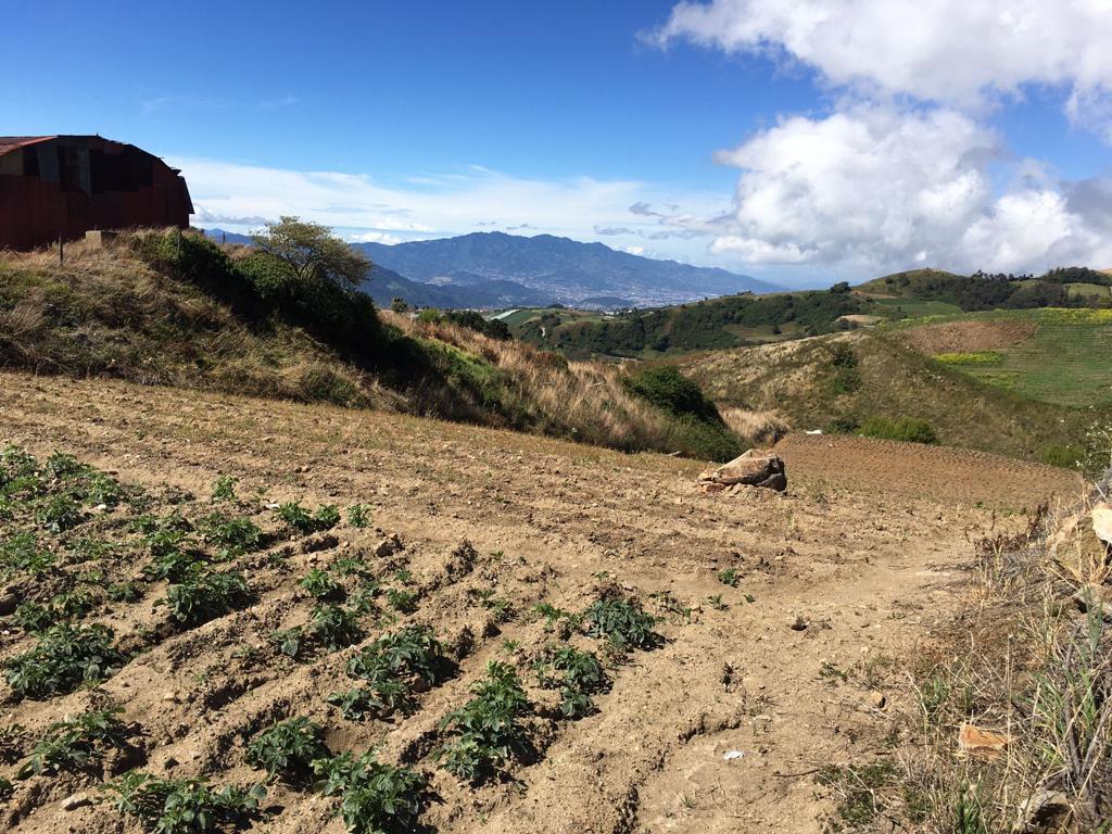 0 bed Land For Sale in Aguacaliente, Cartago - thumb 2