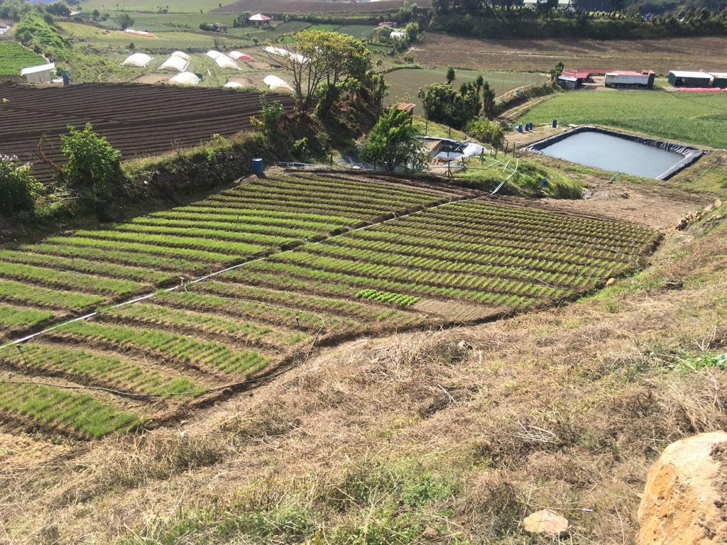 0 bed Land For Sale in Tierra Blanca, Cartago - thumb 8