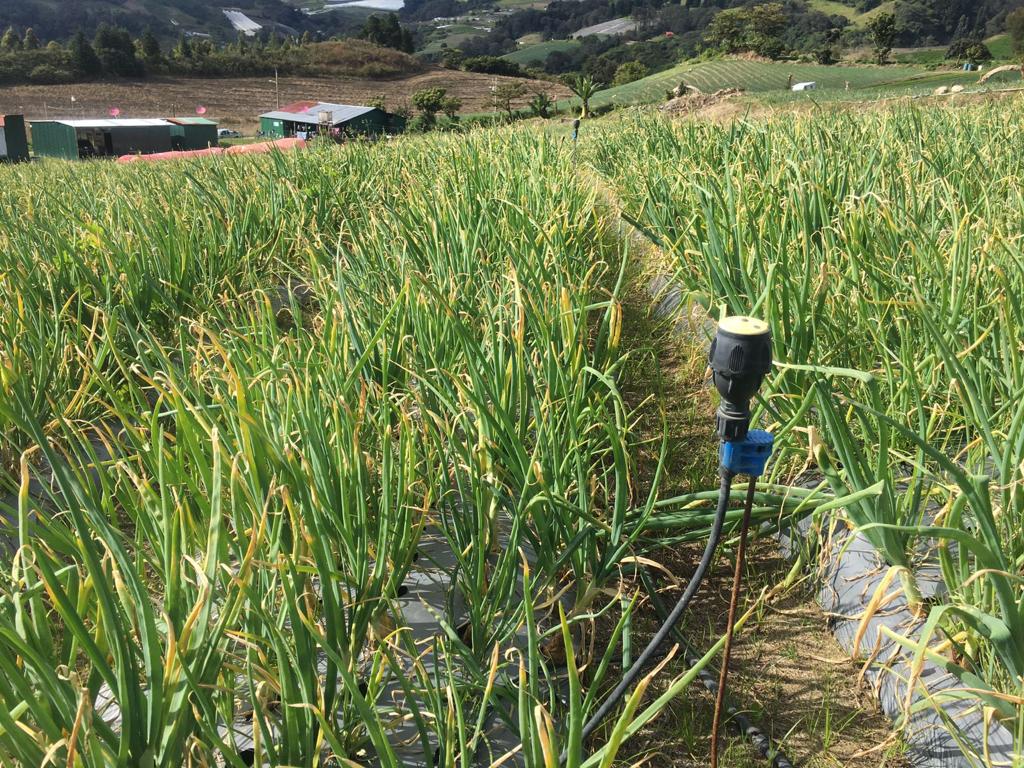 0 bed Land For Sale in Tierra Blanca, Cartago - thumb 6