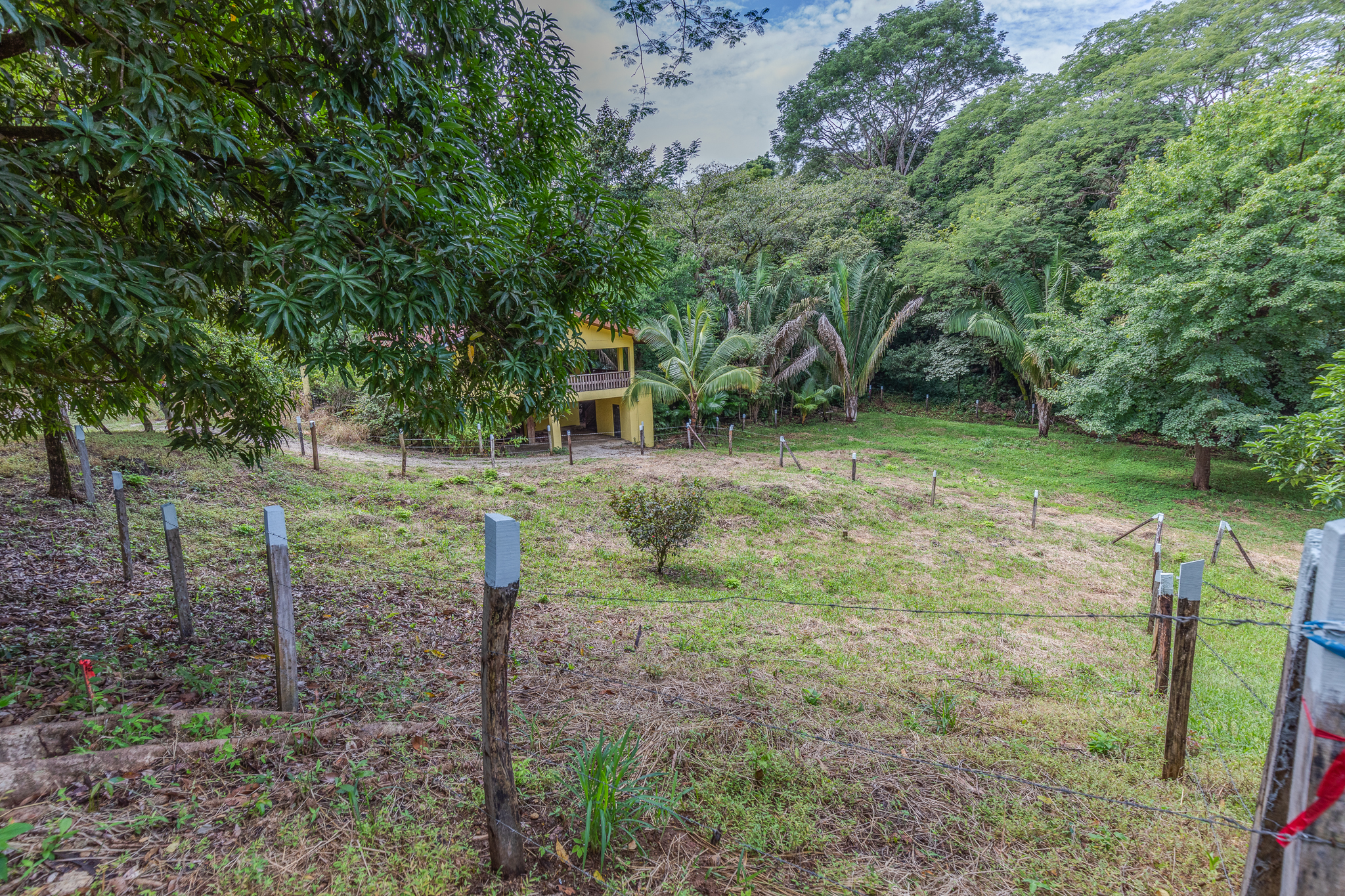 0 bed Land For Sale in Nosara, Guanacaste - thumb 9