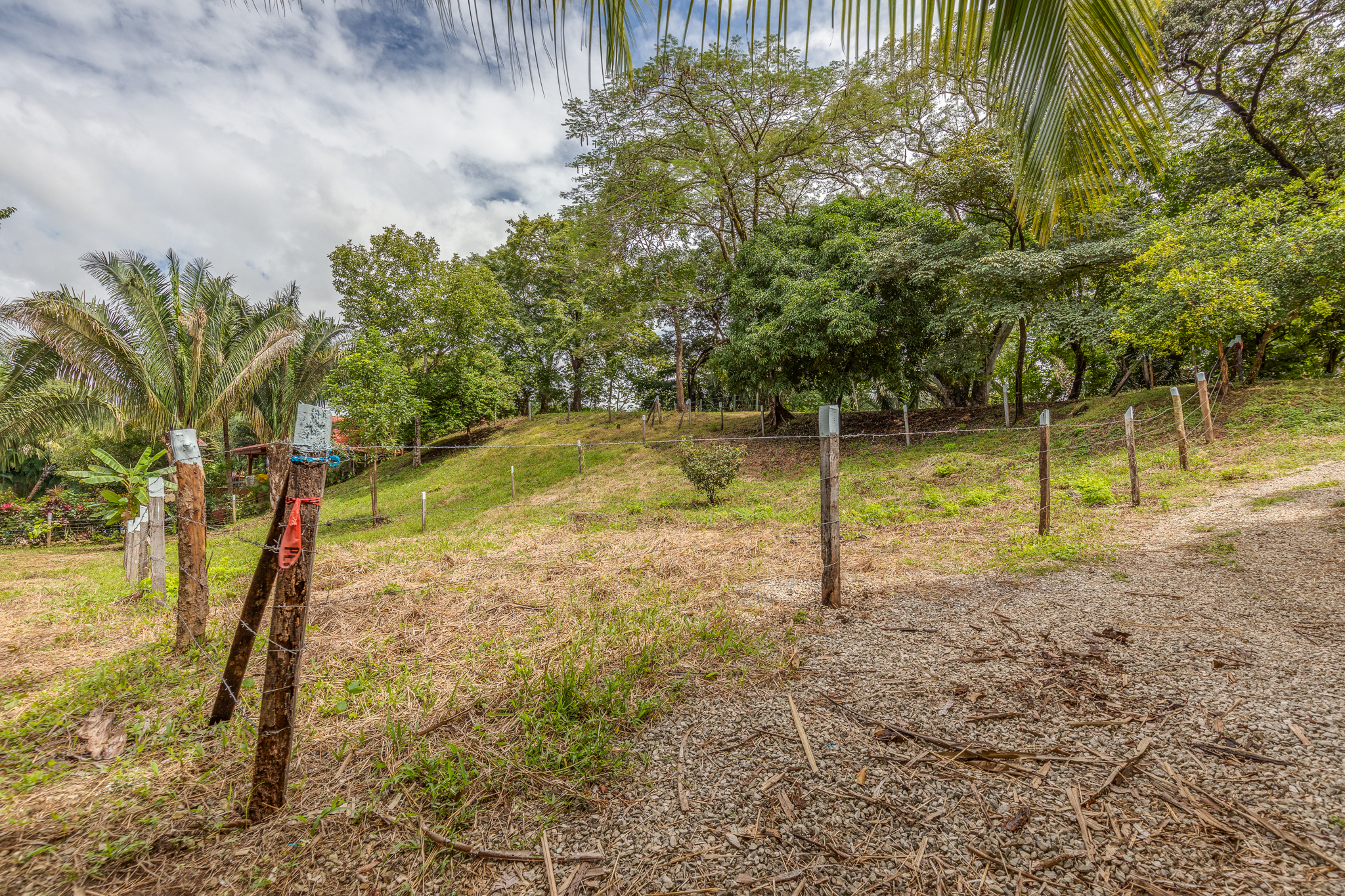0 bed Land For Sale in Nosara, Guanacaste - thumb 6