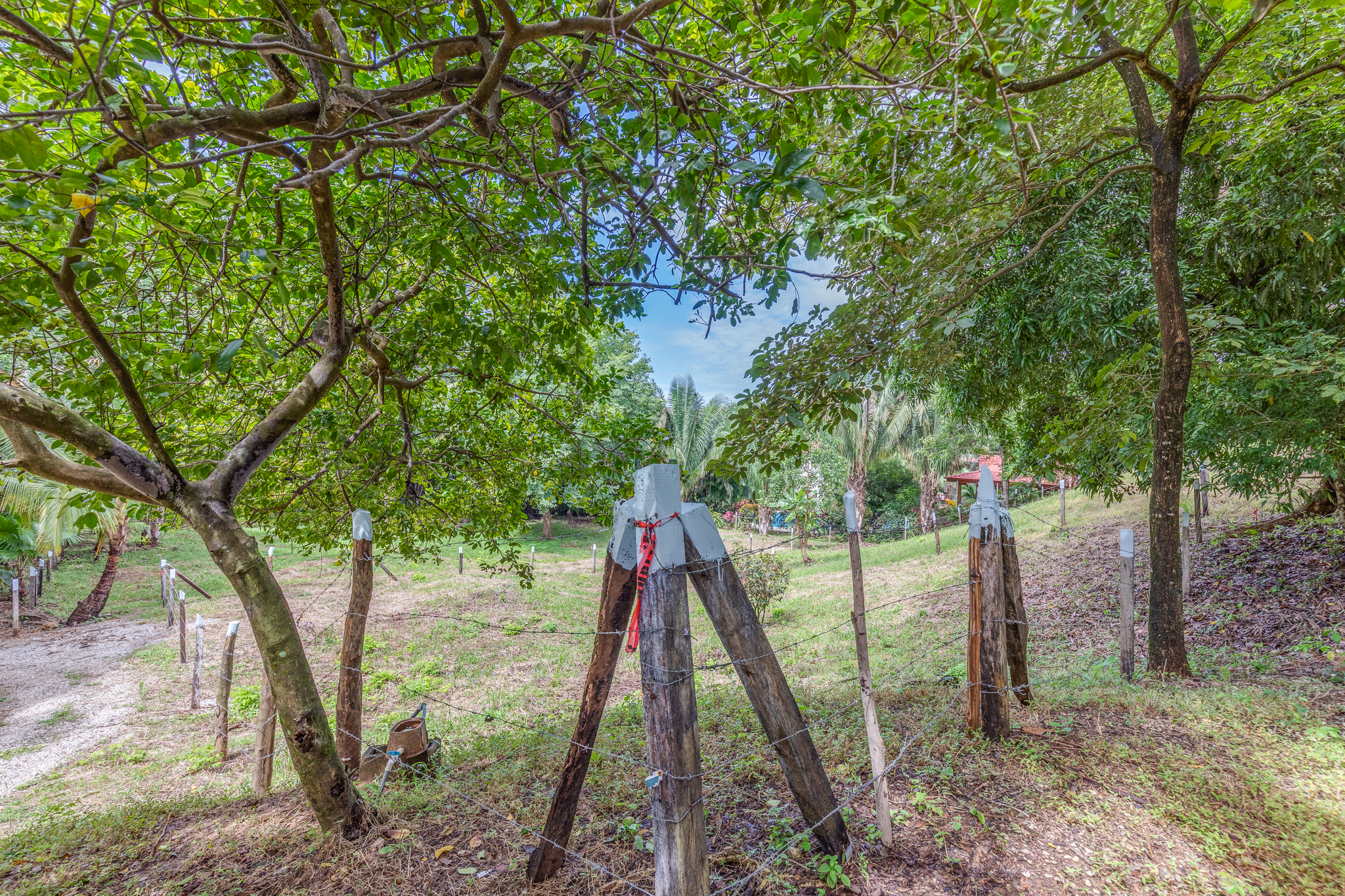 0 bed Land For Sale in Nosara, Guanacaste - thumb 4