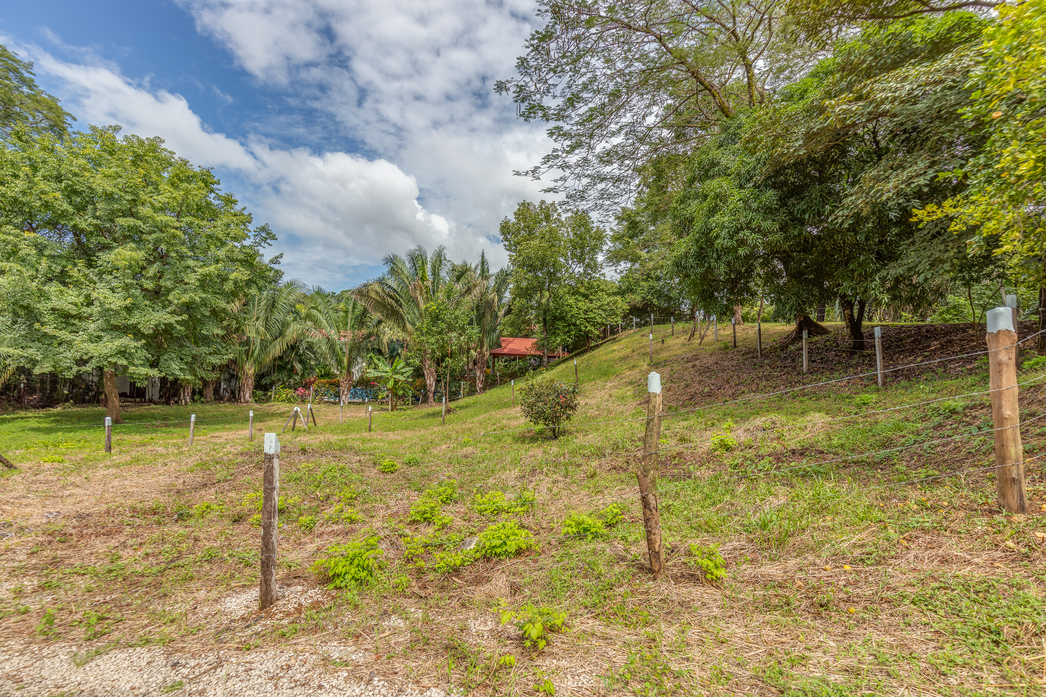 0 bed Land For Sale in Nosara, Guanacaste - thumb 5