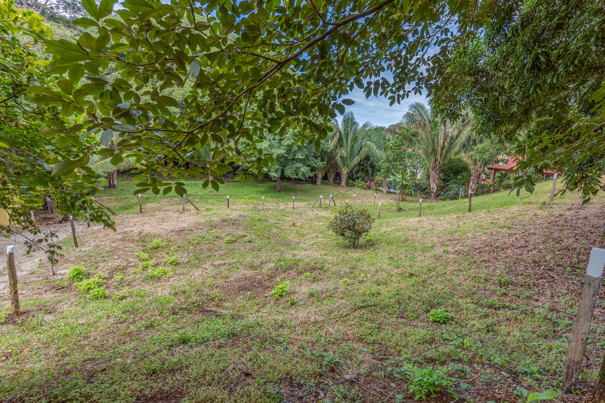 0 bed Land For Sale in Nosara, Guanacaste - thumb 1
