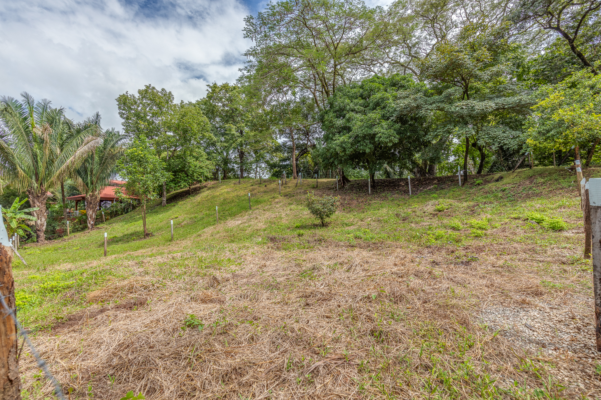 0 bed Land For Sale in Nosara, Guanacaste - thumb 7