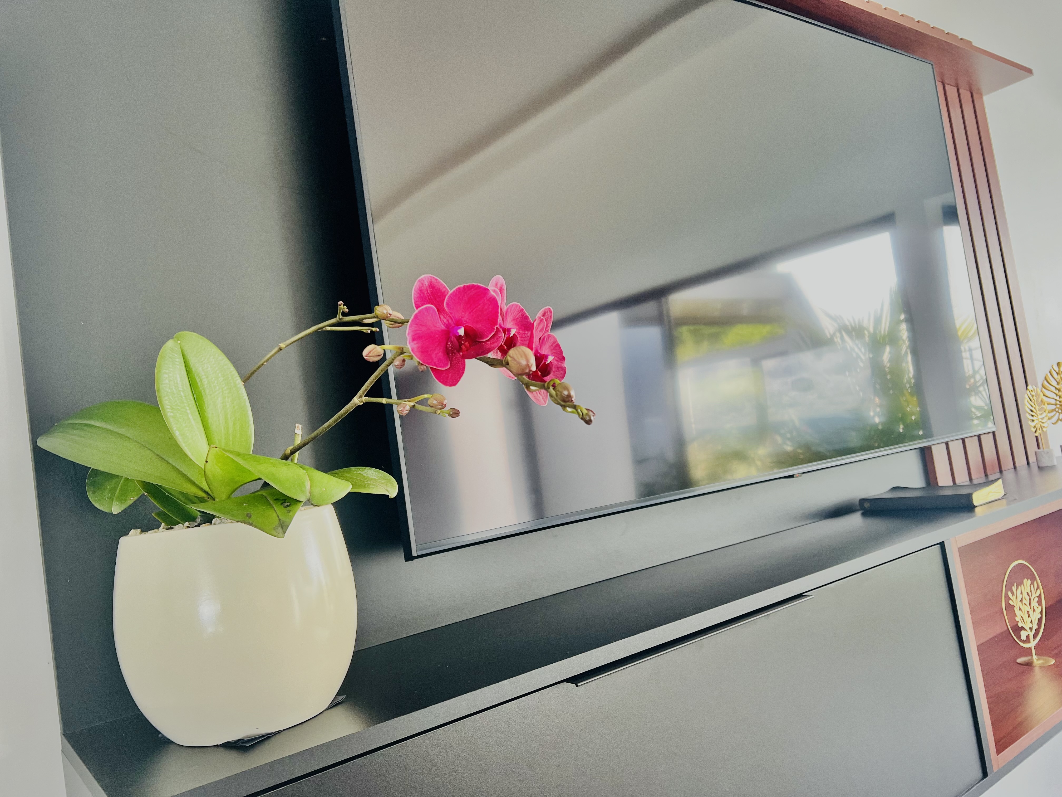 3 bed Single Family Homes For Sale in Perez Zeledon, San Jose - thumb 4