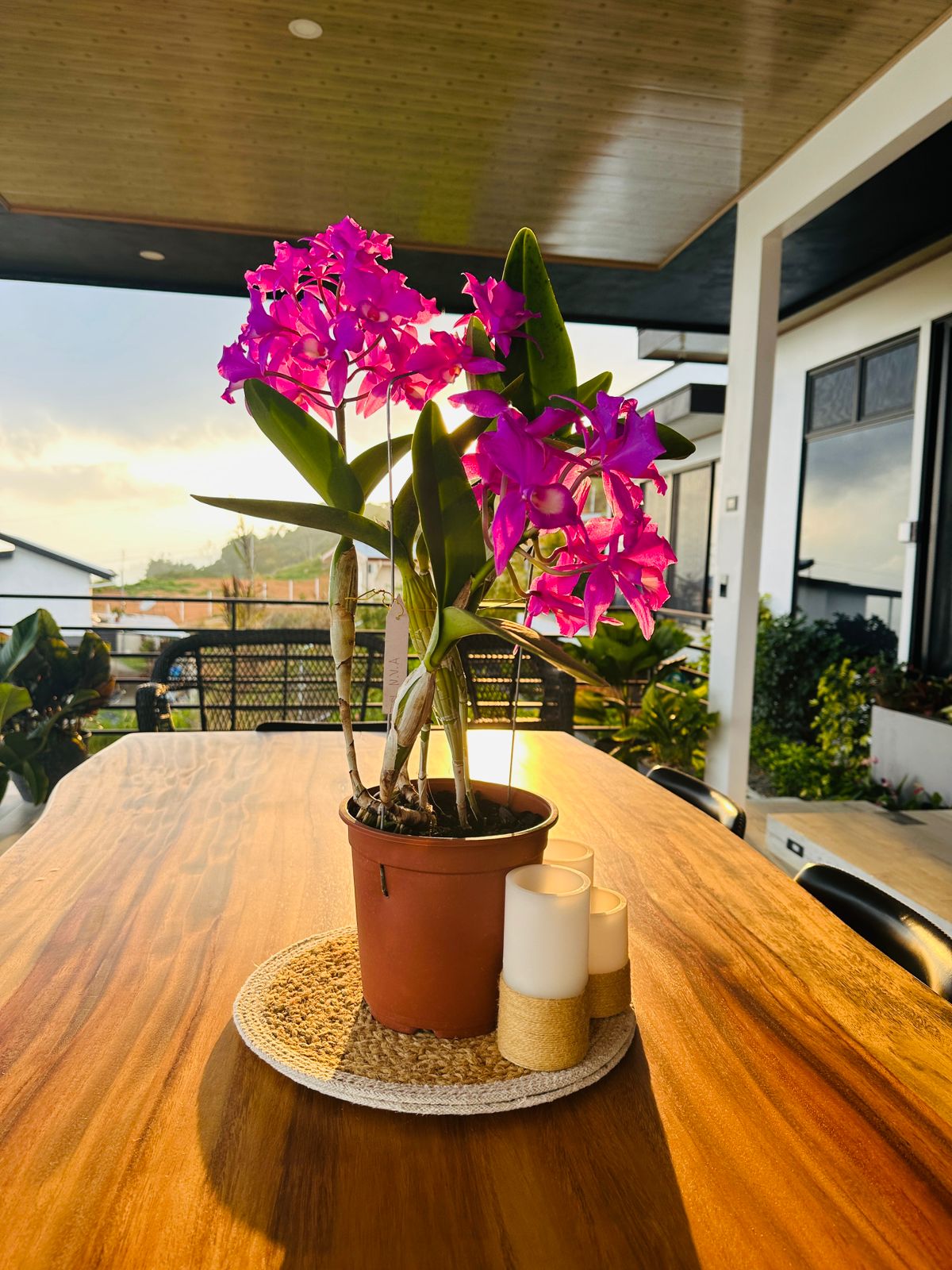 3 bed Single Family Homes For Sale in Perez Zeledon, San Jose - thumb 29