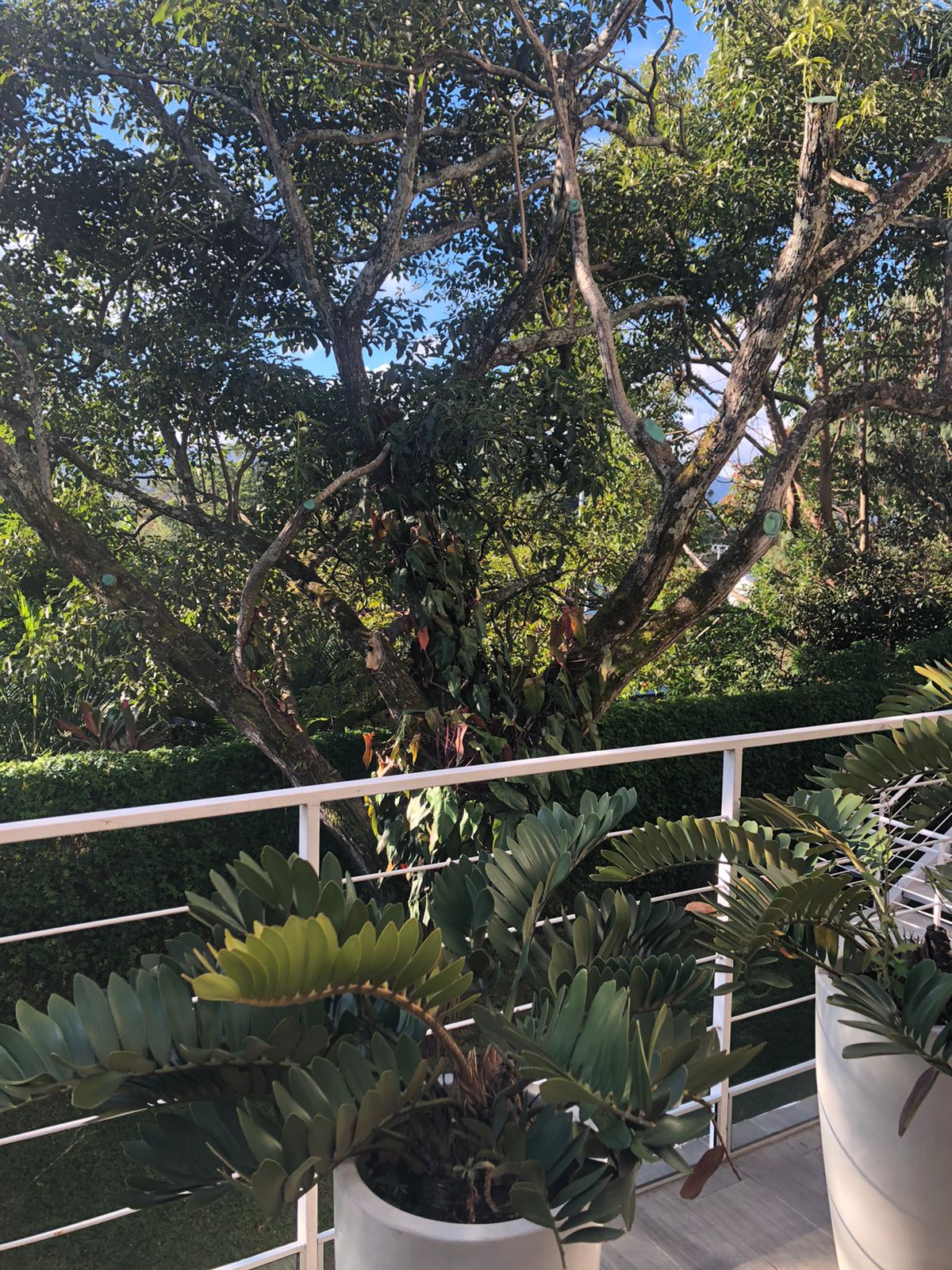 1 bed Condo For Sale in Curridabat, San Jose - thumb 19