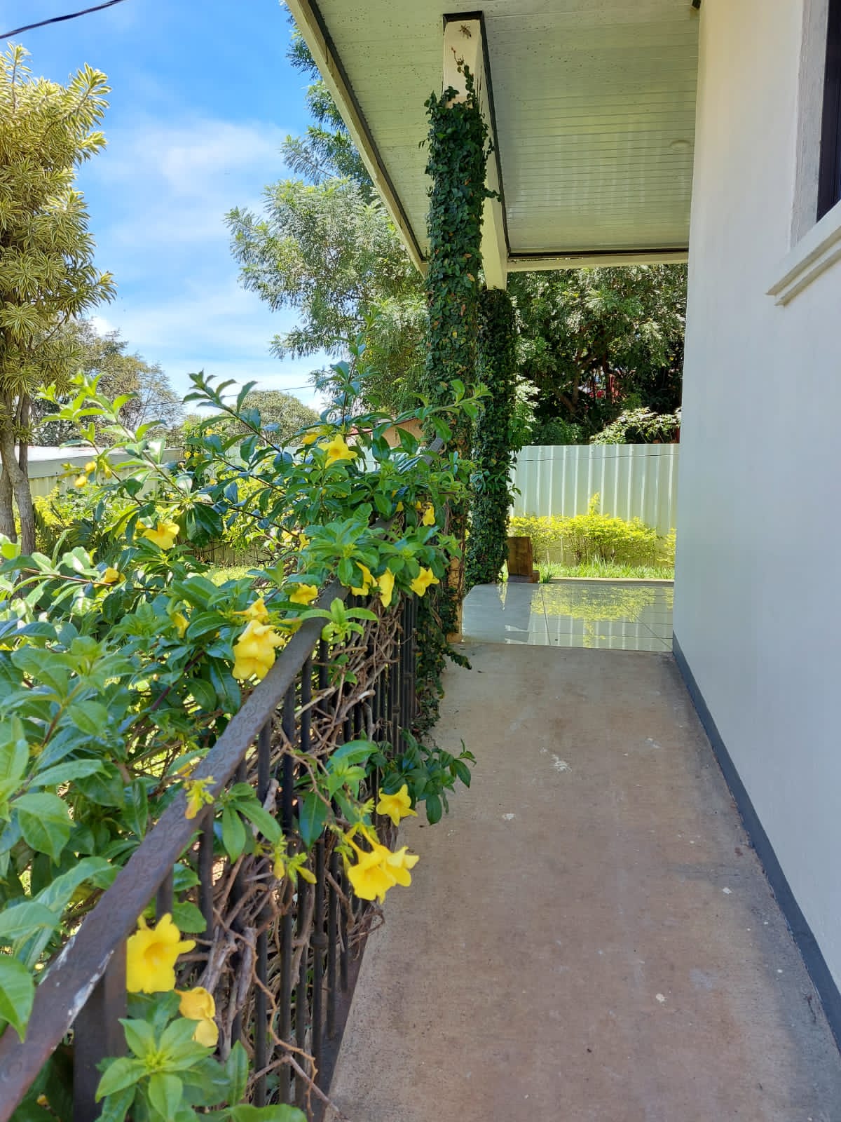 4 bed Single Family Homes For Sale in Atenas, Alajuela - thumb 16