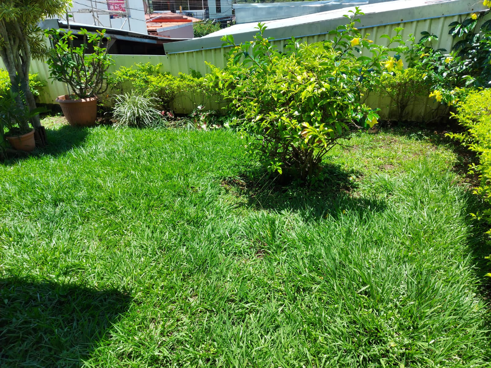 4 bed Single Family Homes For Sale in Atenas, Alajuela - thumb 23