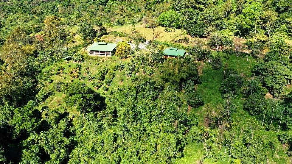 3 bed Single Family Homes For Sale in Dominical, Puntarenas - thumb 25