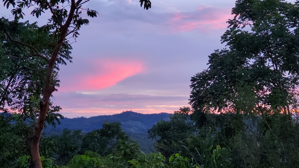 3 bed Single Family Homes For Sale in Dominical, Puntarenas - thumb 21