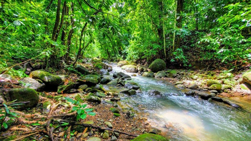 3 bed Single Family Homes For Sale in Dominical, Puntarenas - thumb 18