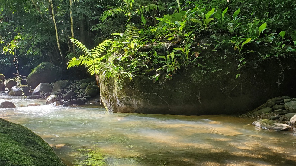 3 bed Single Family Homes For Sale in Dominical, Puntarenas - thumb 19