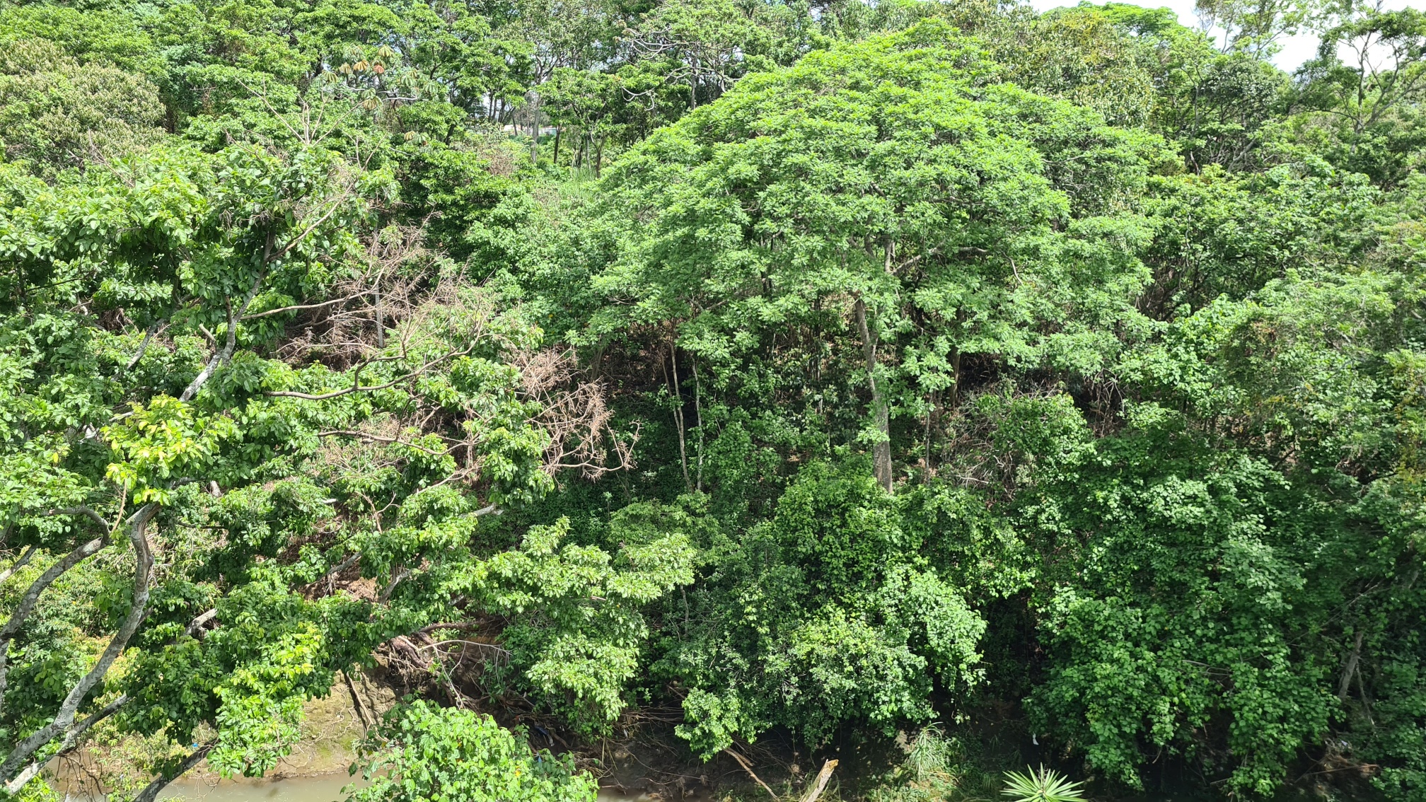 15 bed Commercial For Sale in Desamparados, San Jose - thumb 19