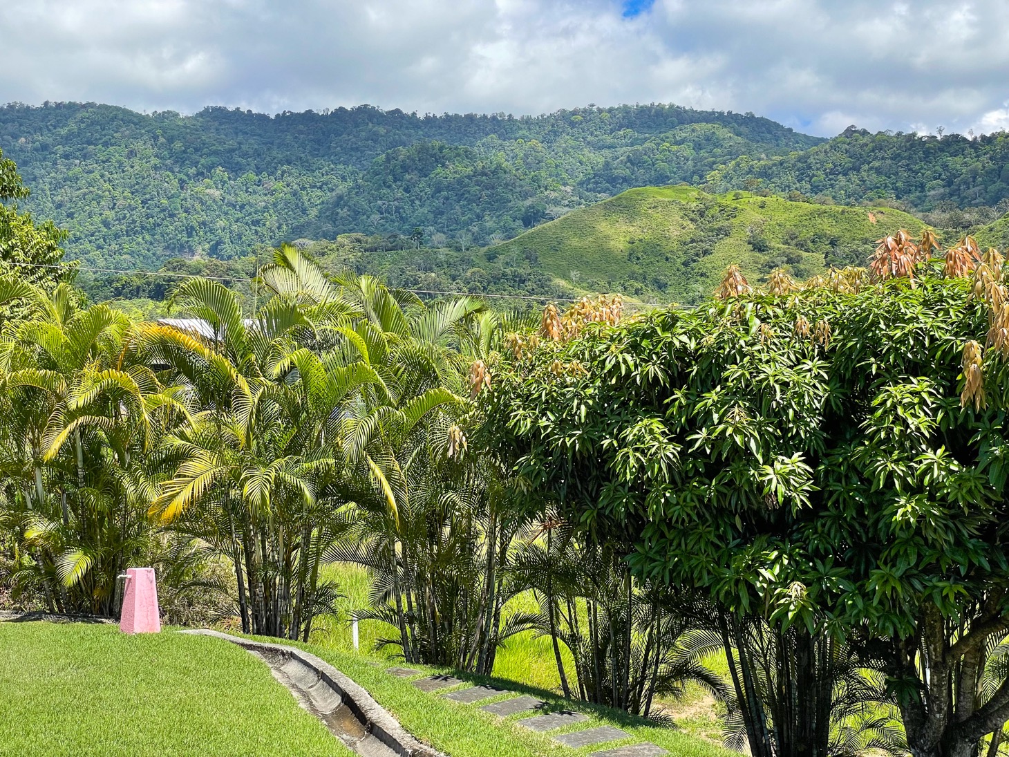 3 bed Single Family Homes For Sale in Ojochal, Puntarenas - thumb 16