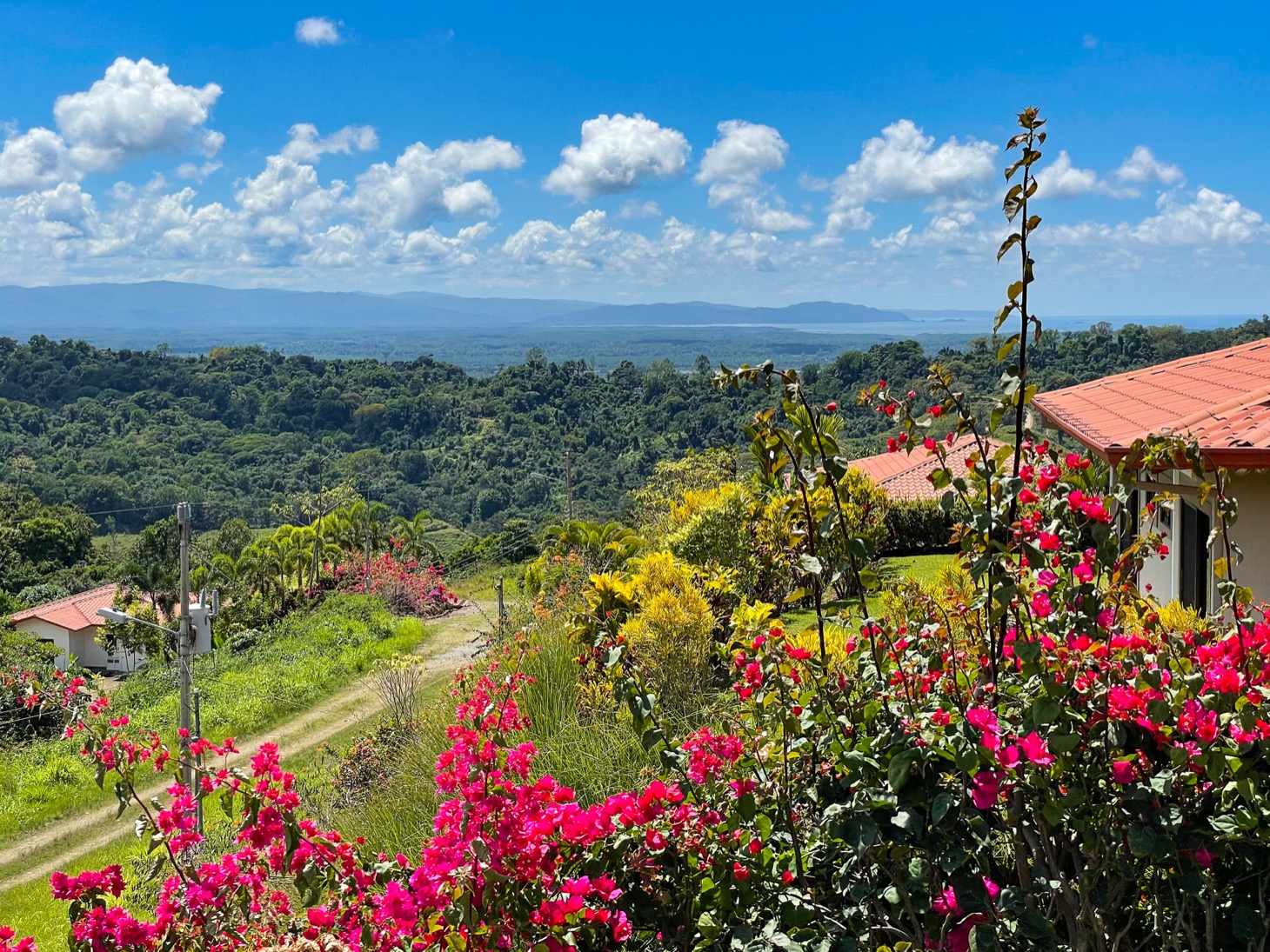 3 bed Single Family Homes For Sale in Ojochal, Puntarenas - thumb 15