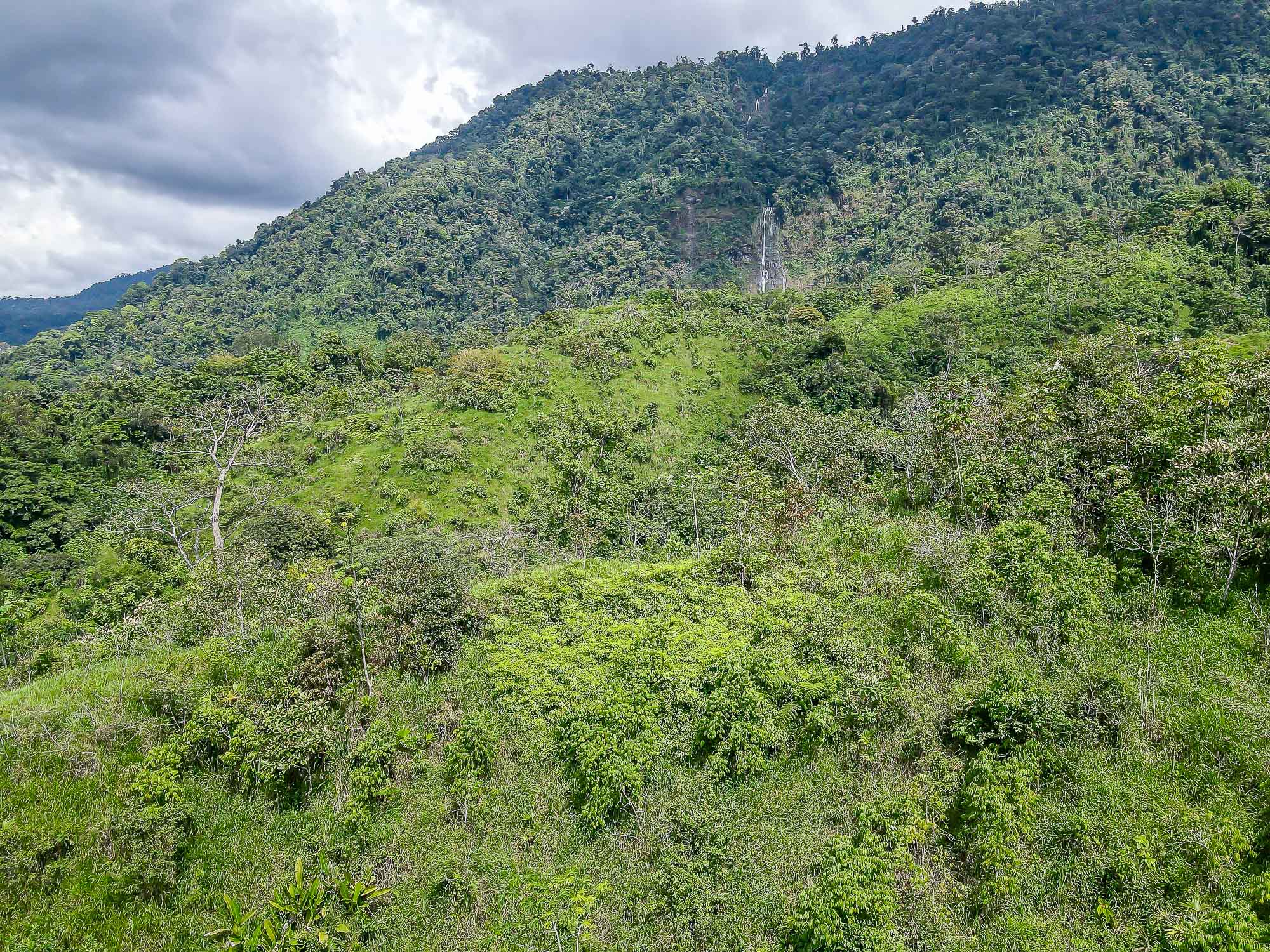 5 bed Single Family Homes For Sale in Dominical, Puntarenas - thumb 3