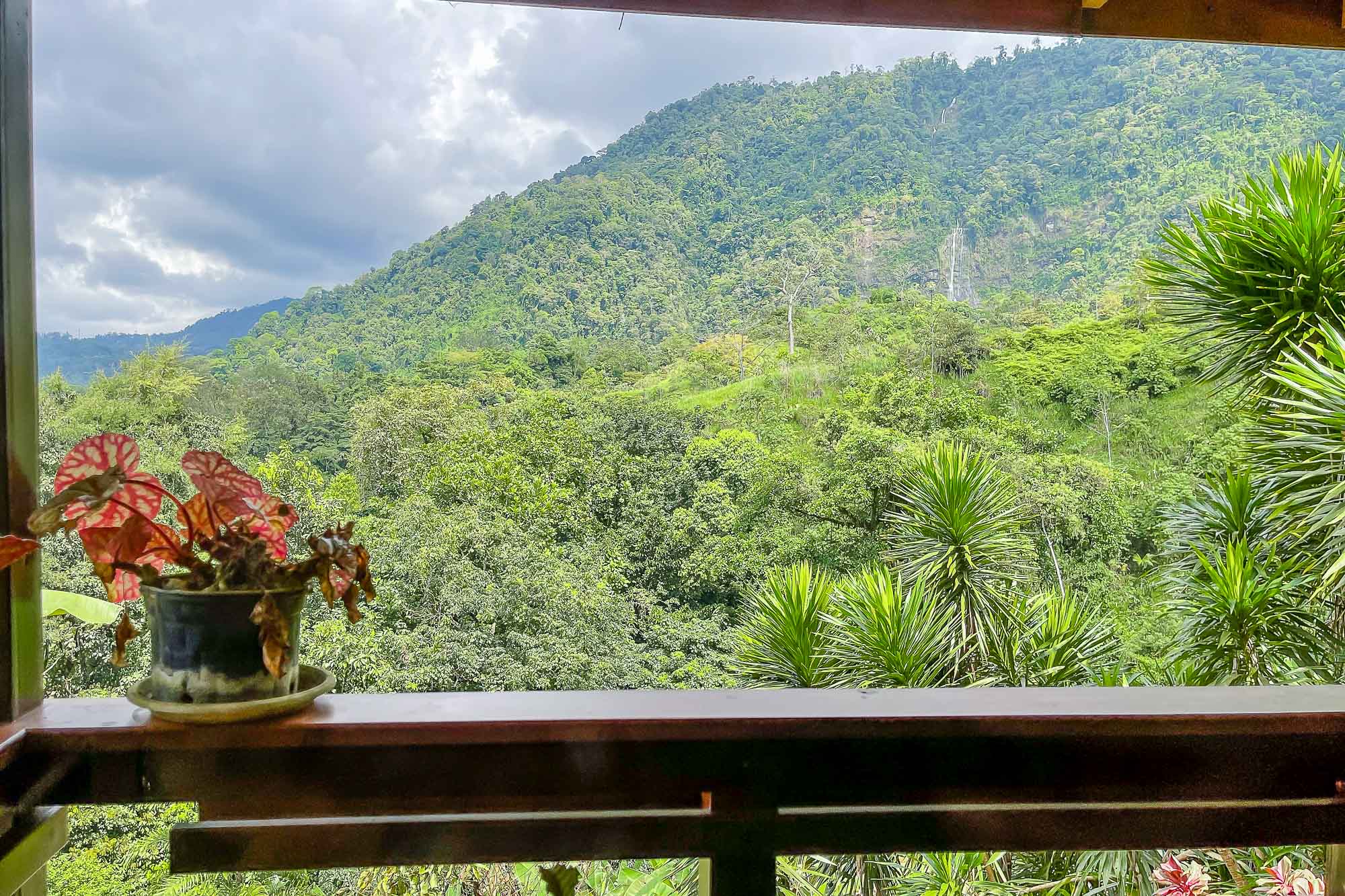 5 bed Single Family Homes For Sale in Dominical, Puntarenas - thumb 21